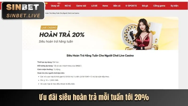 Giao diện cá cược trực tiếp với thống kê trận đấu